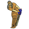 Cricket 11116