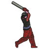 Cricket 20027