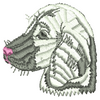Dog 10630