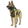 Dog 12333