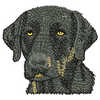 Dog 12054