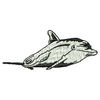Dolphin 10905