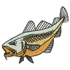 Fish 11121