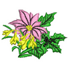 Flower 10276