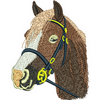 Horse 10019