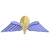 Para Wings 11536
