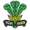 Prince of Wales Feathers 10564