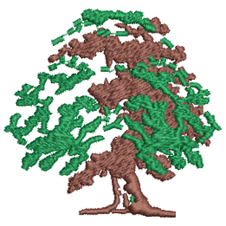 Tree 12624