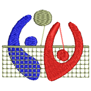 Volleyball 10574